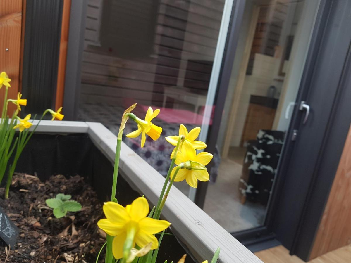Angers Green Lodge Ngoại thất bức ảnh